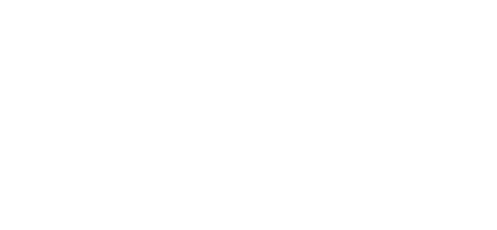 Artista Oficial Aquarian Drumheads